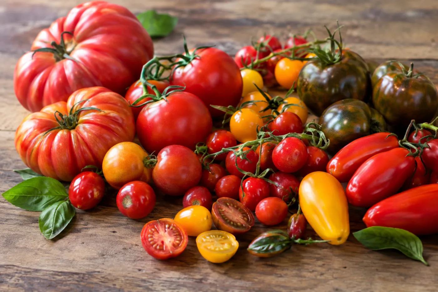Tomate